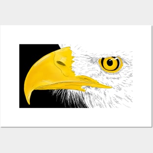 Eagle Line Art Posters and Art